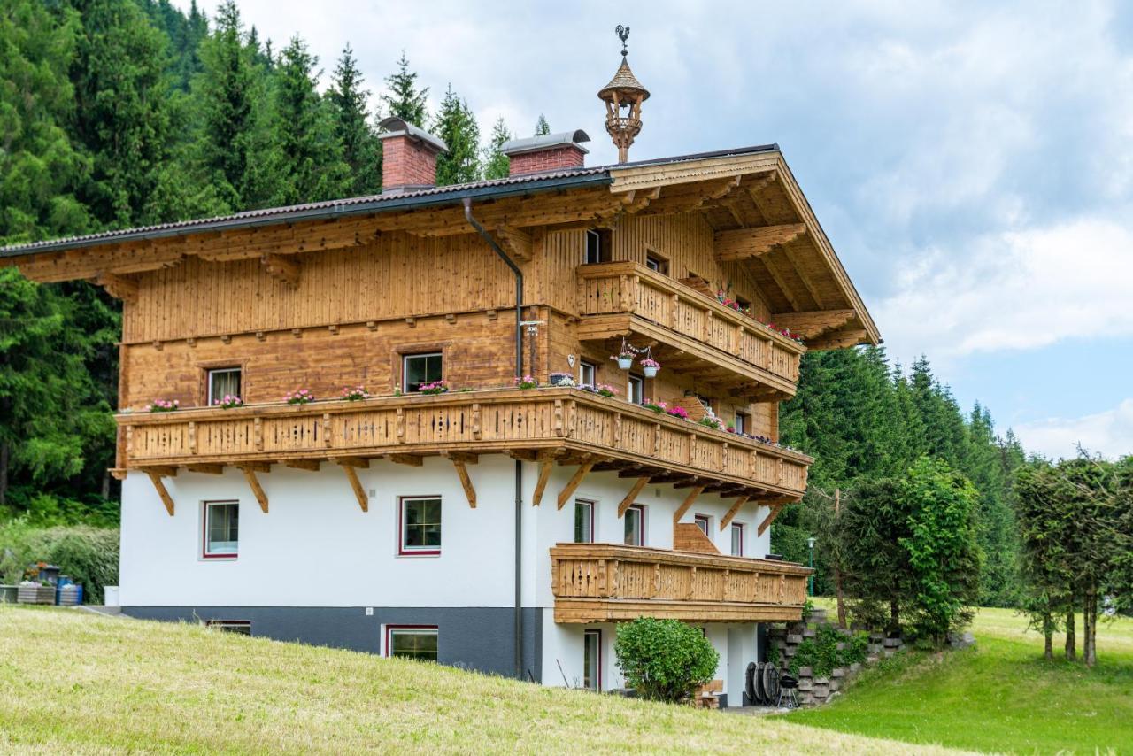 Kesselgrubs Apartements Ski & Badeglueck Eben Im Pongau Exteriér fotografie